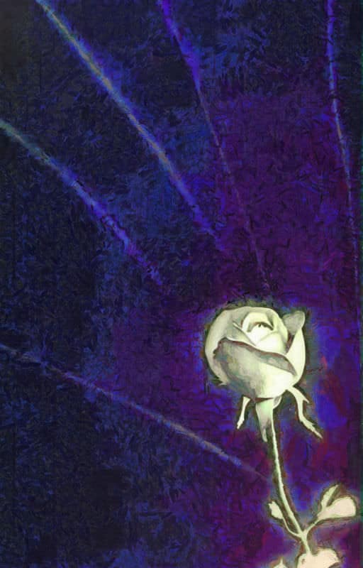 A Rose in the Night Shines Forth
