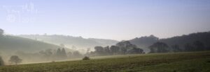 A Cornish valley in the early morning light.