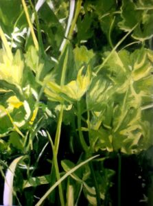 THE HEDGEROW by Diana Hand Oil on canvas 1200 x 900 mm Unframed price £800.00
