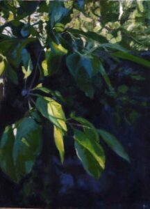 THE PLUM TREE ON THE WALL by Diana Hand Oil on canvas 800 x 600 mm Unframed price £650.00