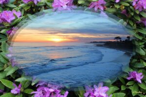 "Blue Ocean Sunset in Purple Flowers" Digital Photo Collage