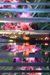 "Colorful Evening Boardwalk" Digital Photo Collage