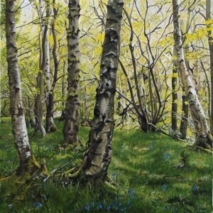 'Silver Birch woodland'. Original painting.